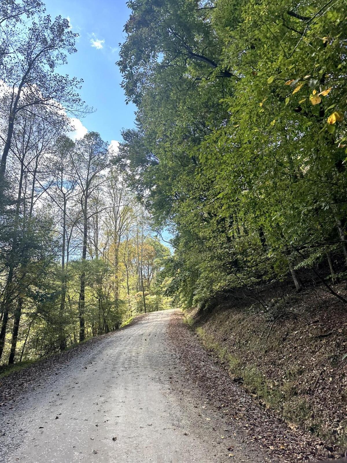 Apartamento Little Mountain Hide Away Ellijay